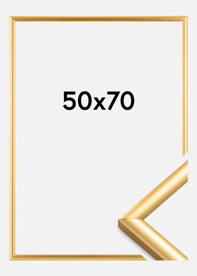 Kehys Trendstyle Kullanvärinen 50x70 cm