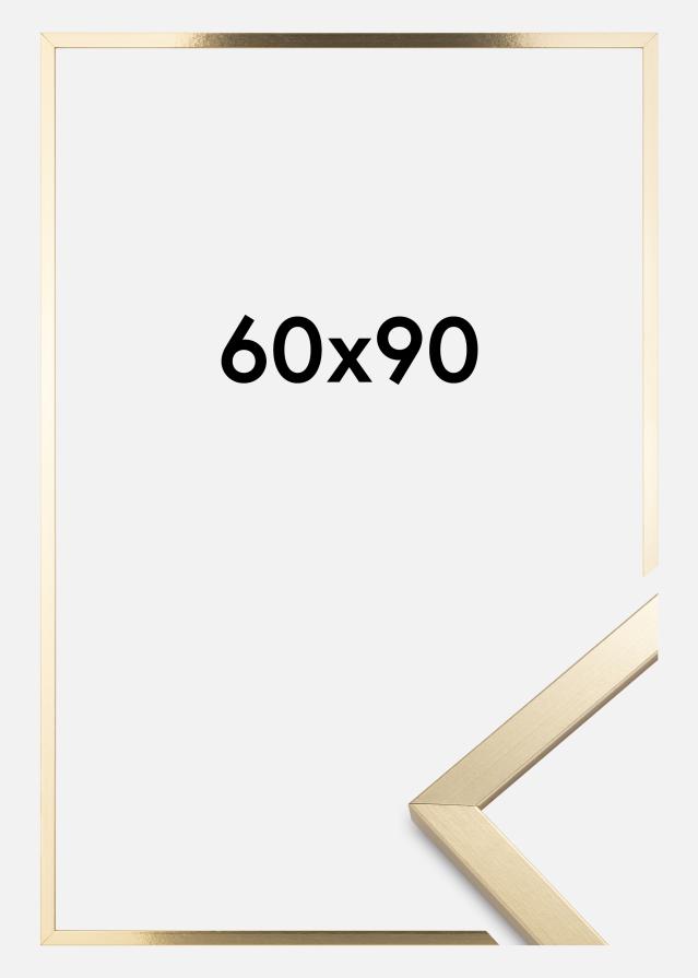 Kehys Trendy Akryylilasi Kulta 60x90 cm