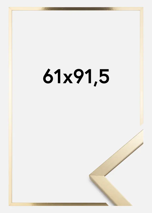 Kehys Trendy Akryylilasi Kulta 61x91,5 cm