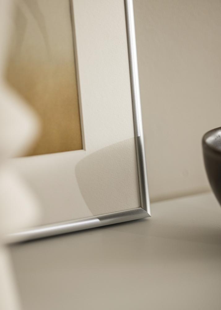 Kehys Victoria Akryylilasi Hopeanvärinen 40x50 cm