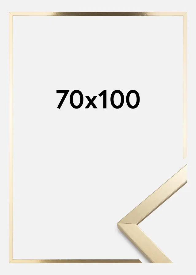 Kehys Trendy Akryylilasi Kulta 70x100 cm