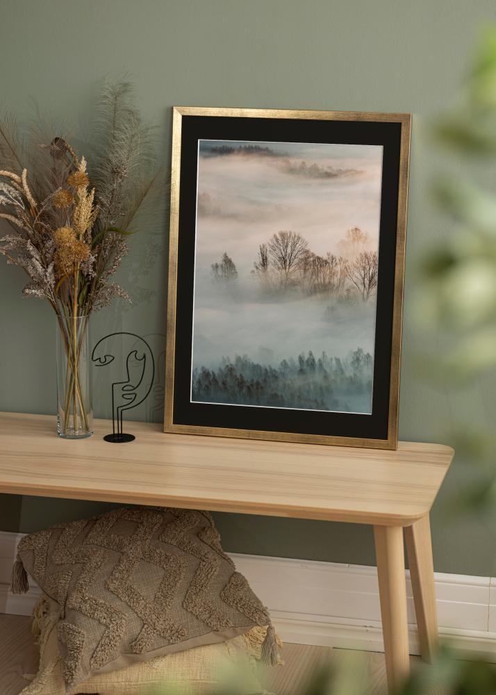 Kehys Stilren Kulta 50x60 cm - Paspatuuri Musta 37x46 cm