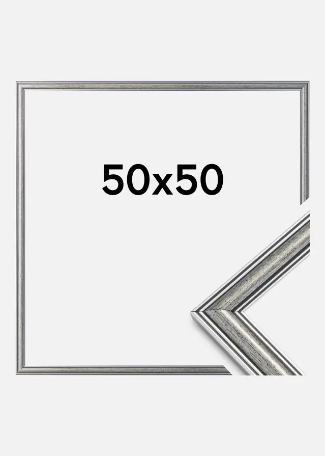 Kehys Frigg Hopeanvärinen 50x50 cm