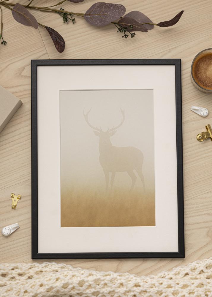 Kehys Kaspar Akryylilasi Musta 25x70 cm