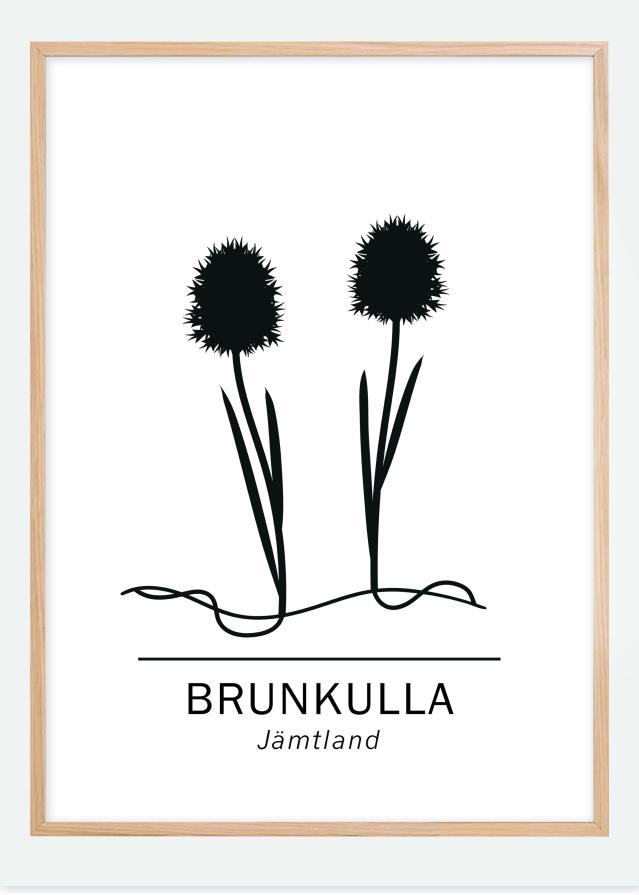 Brunkulla - Jämtland Juliste