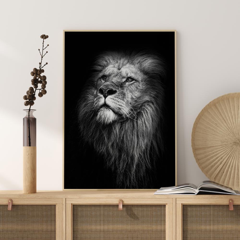 King Of Lions Juliste