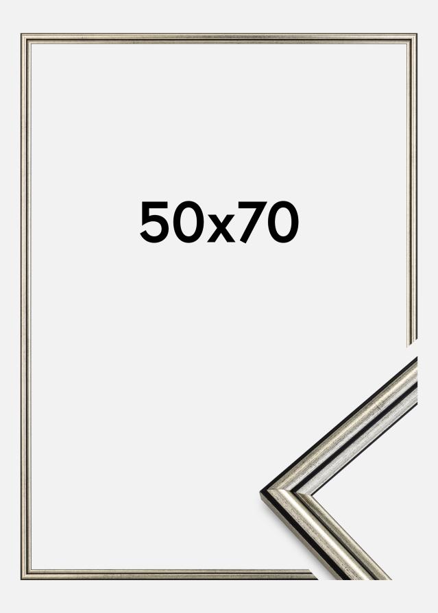 Kehys Horndal Hopeanvärinen 50x70 cm