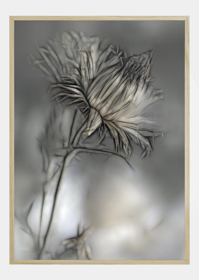 Source Of Life Juliste