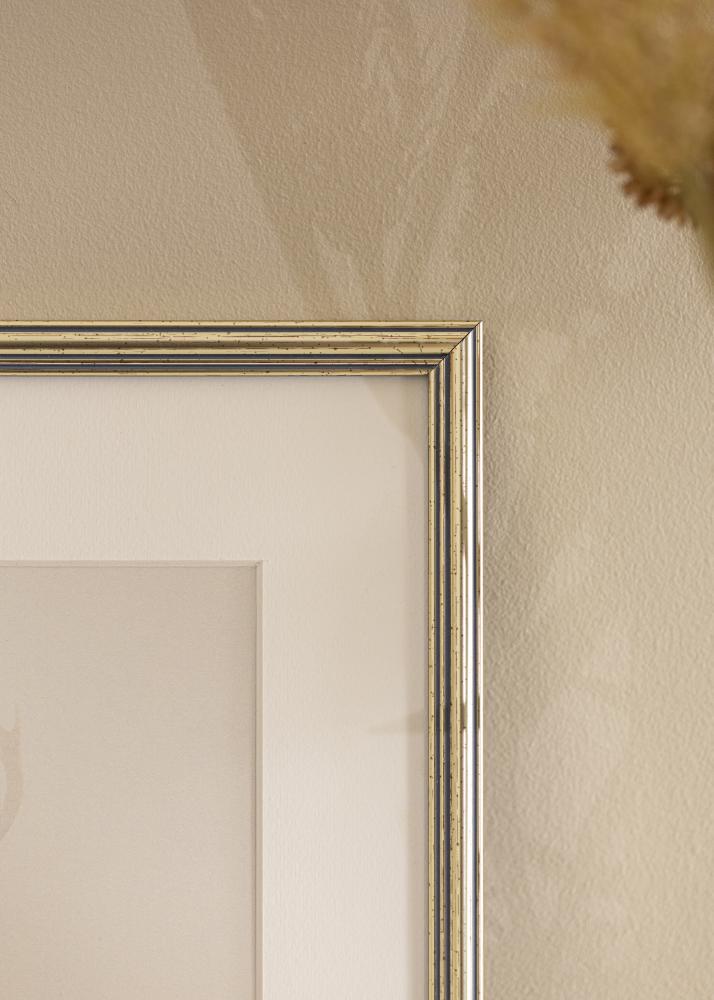 Kehys Classic Hopeanvärinen 10x15 cm