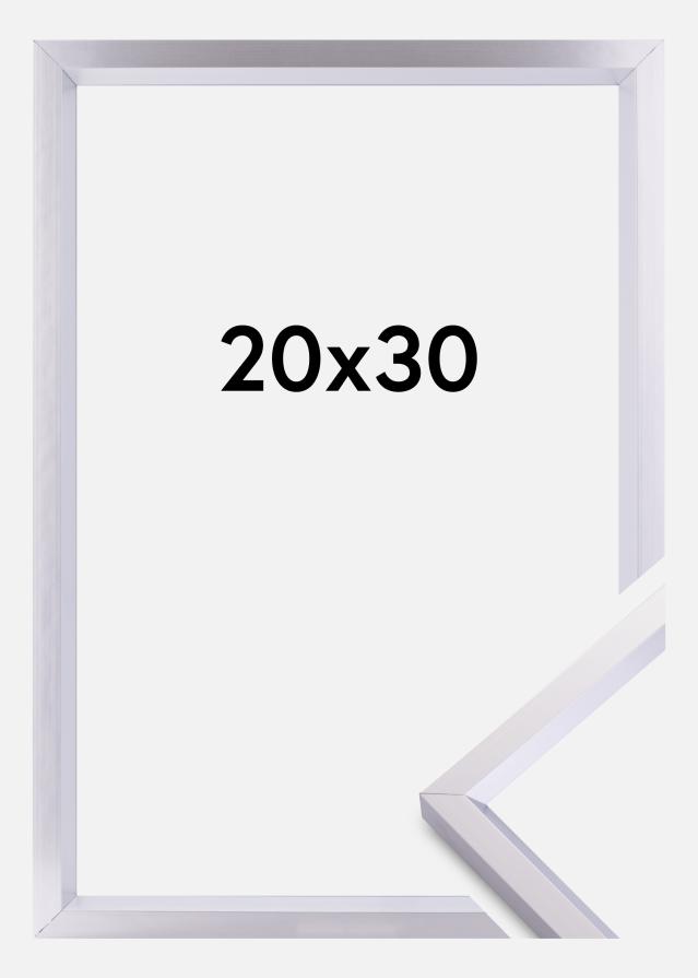 Kehys Steel Style Hopeanvärinen 20x30 cm