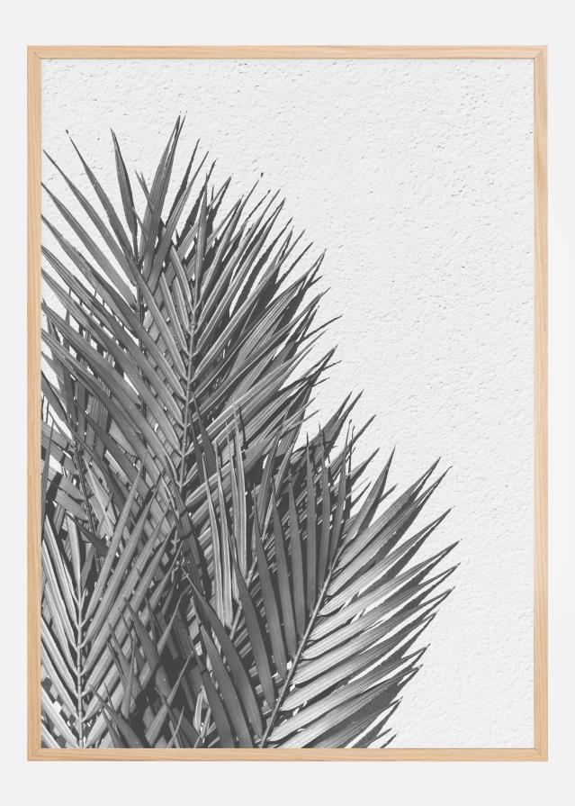 Palm Leaves Juliste