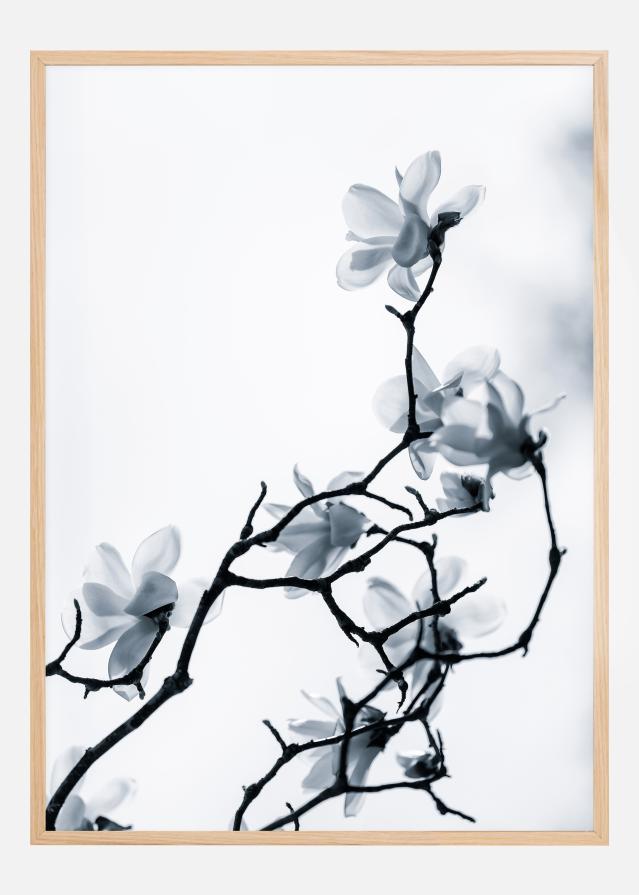 The White Queen Juliste