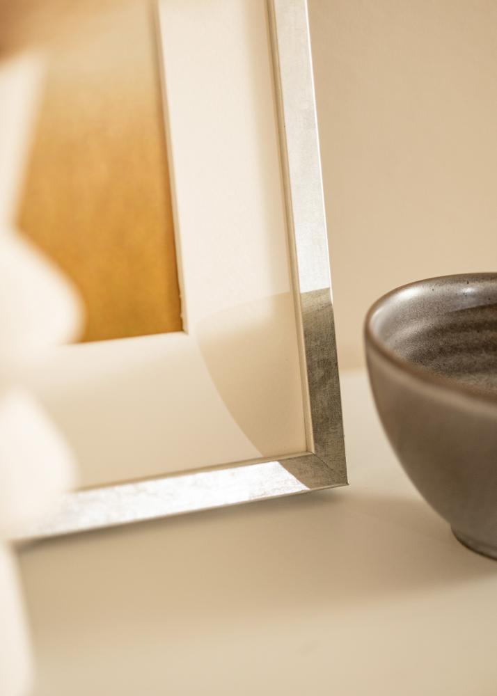 Kehys Ares Akryylilasi Hopea 20x30 cm