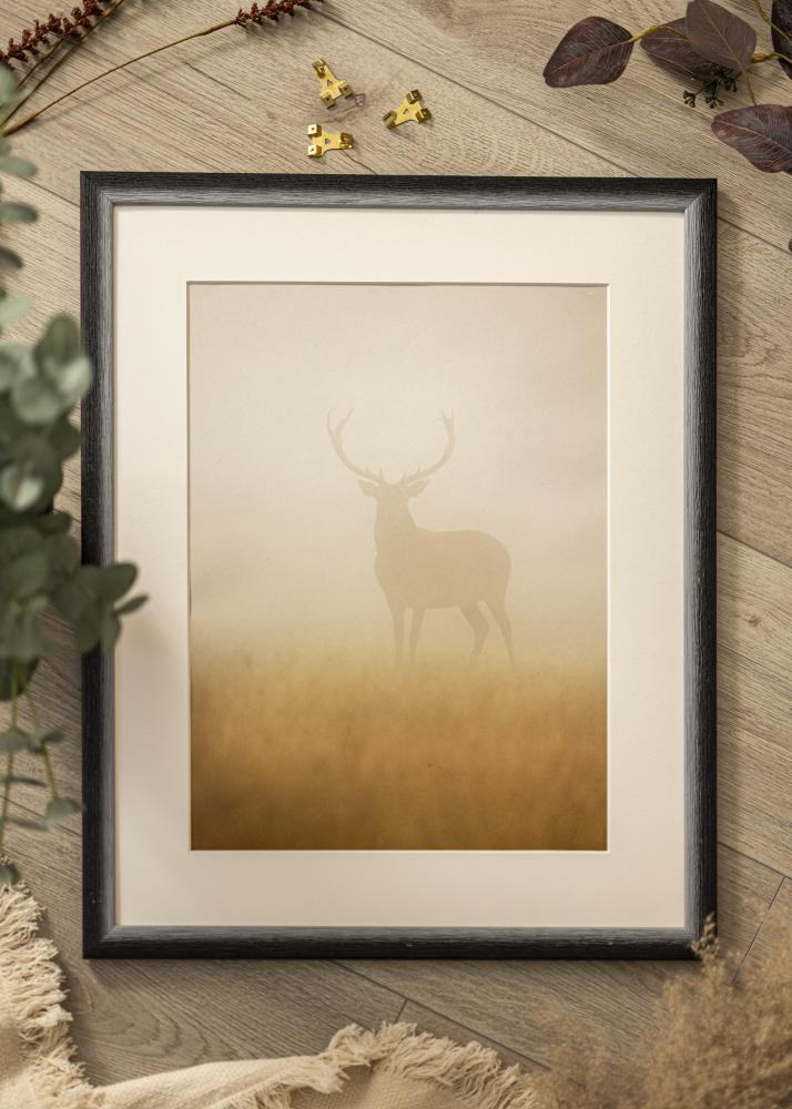 Kehys Cornwall Musta