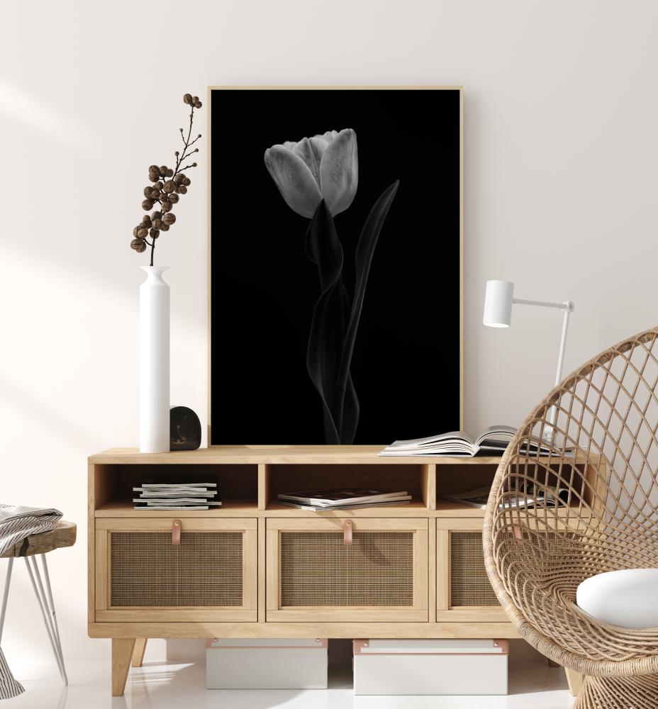 Tulip Juliste