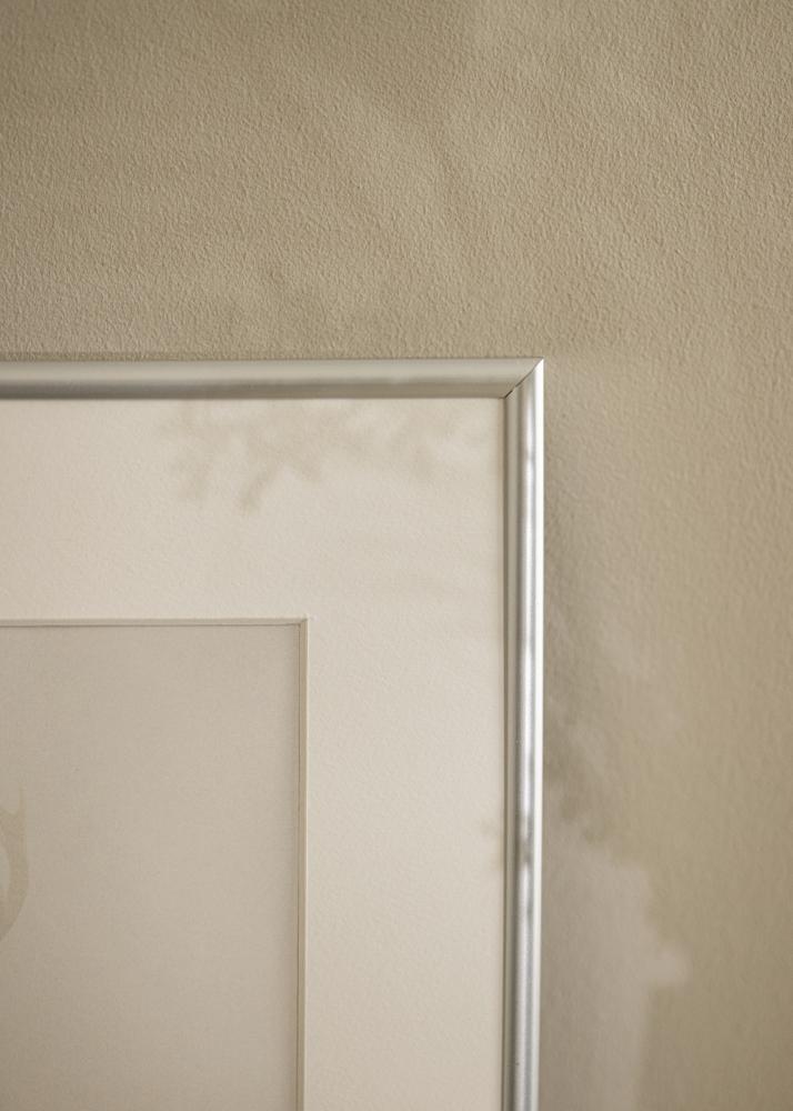 Kehys Victoria Akryylilasi Hopeanvärinen 40x50 cm