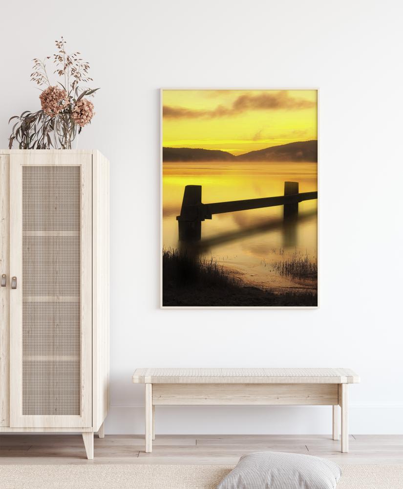 Late Evening Juliste