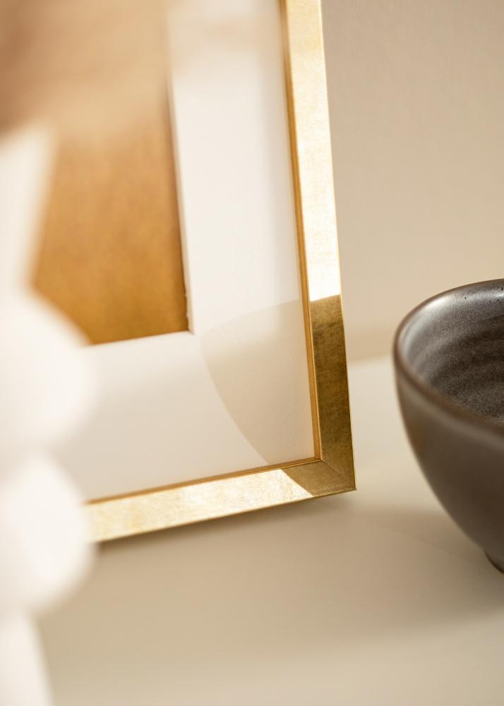 Kehys Ares Akryylilasi Kulta 50x60 cm