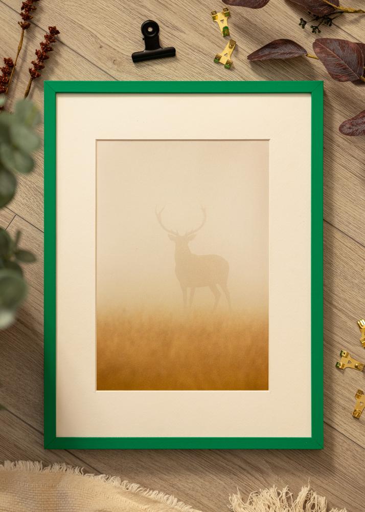 Colorful Akryylilasi Vihreä 42x59,4 cm (A2)