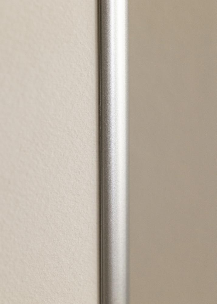 Kehys Victoria Akryylilasi Hopeanvärinen 40x50 cm