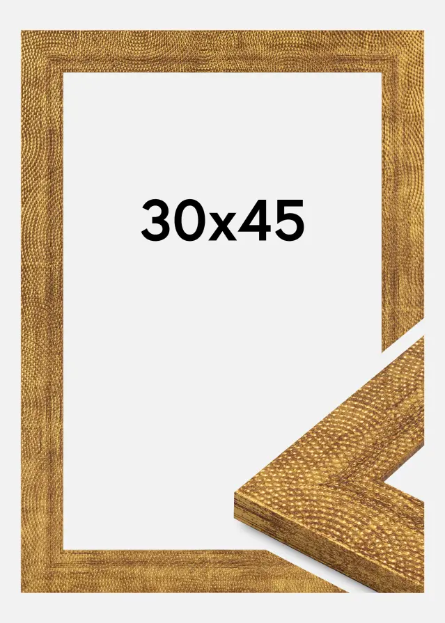 Kehys Linea Akryylilasi Kulta 30x45 cm