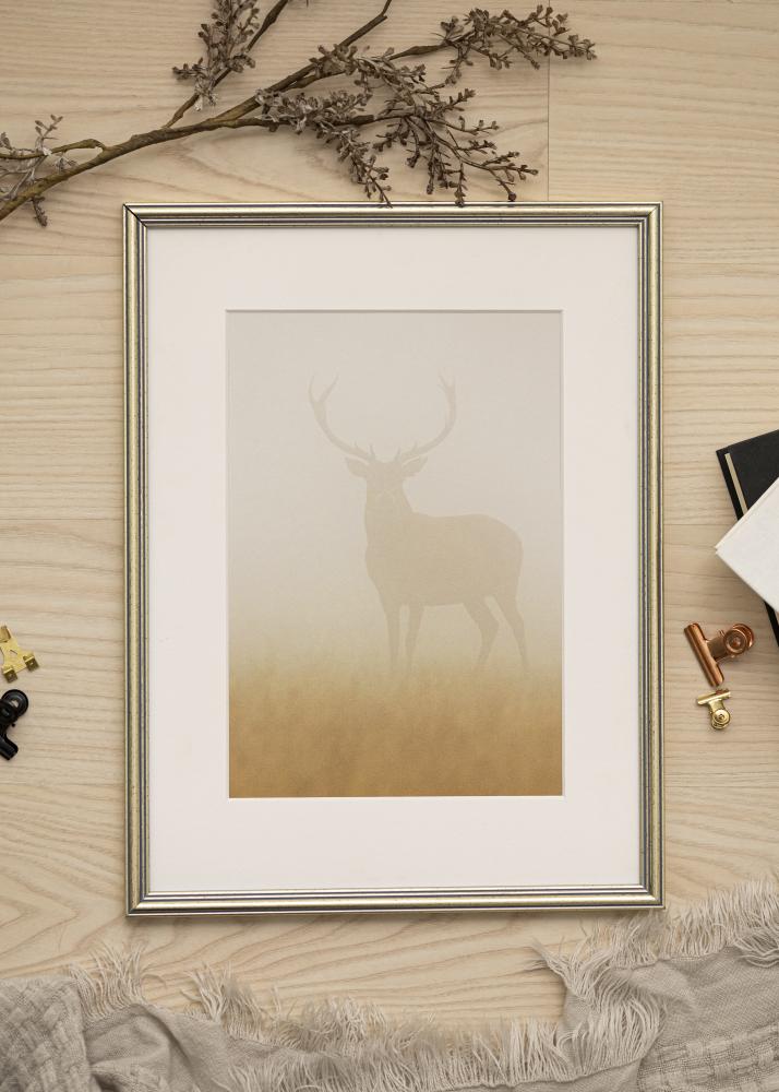 Kehys Classic Hopeanvärinen 10x15 cm