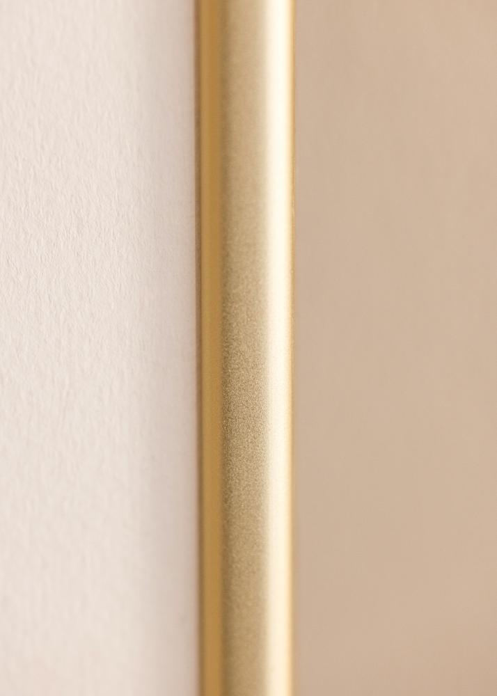 Kehys Karlholm Champagne