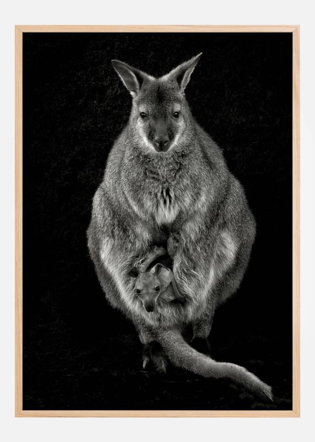 Want To Emancipate Juliste