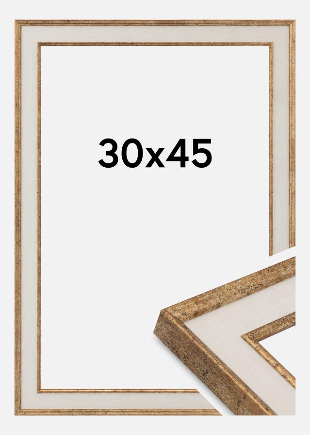 Kehys Dolly Akryylilasi Kulta 30x45 cm