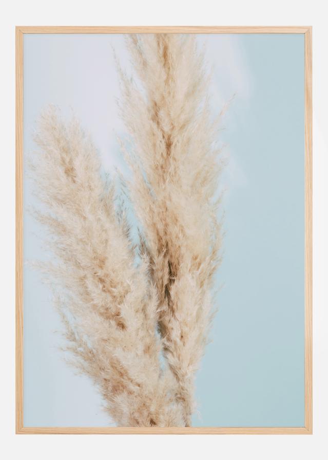 Pampas Grass Blue Juliste