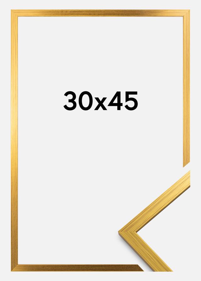 Kehys Edsbyn Akryylilasi Kullanvärinen 30x45 cm