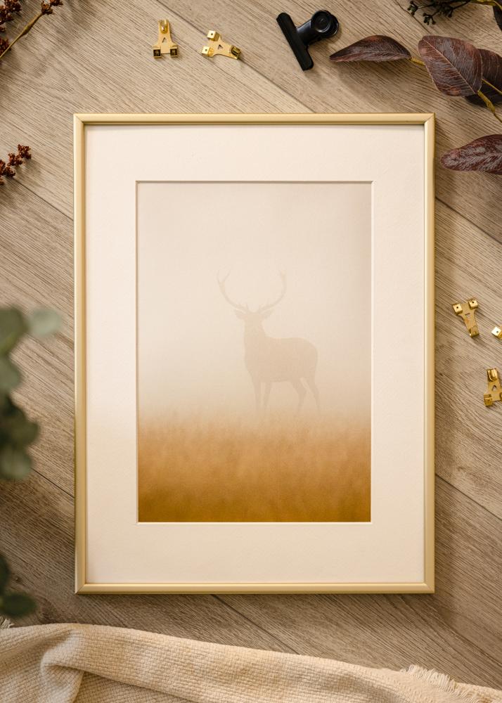 Kehys Karlholm Champagne