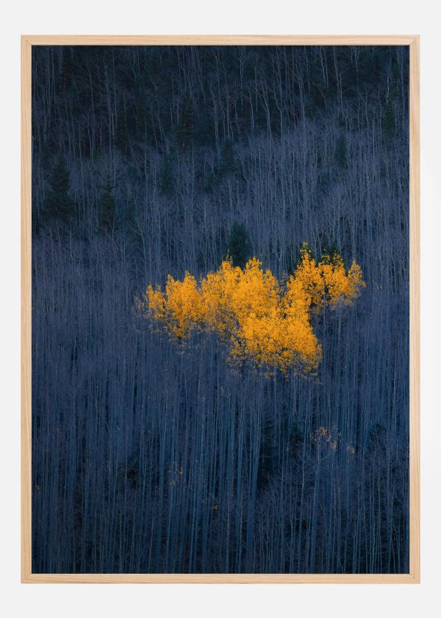 Heart of Aspens Juliste