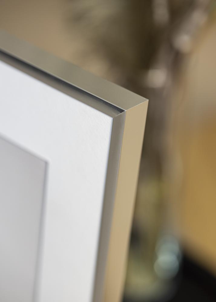 Kehys Poster Frame Aluminum Silver 10x15 cm