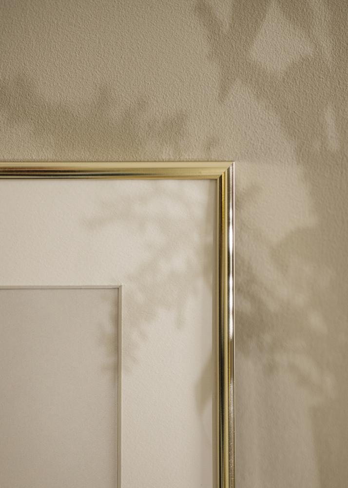 Kehys Aluminium Akryylilasi Kiiltävä Kullanvärinen 50x50 cm