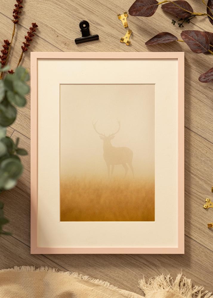 Colorful Akryylilasi Roosa 50x70 cm