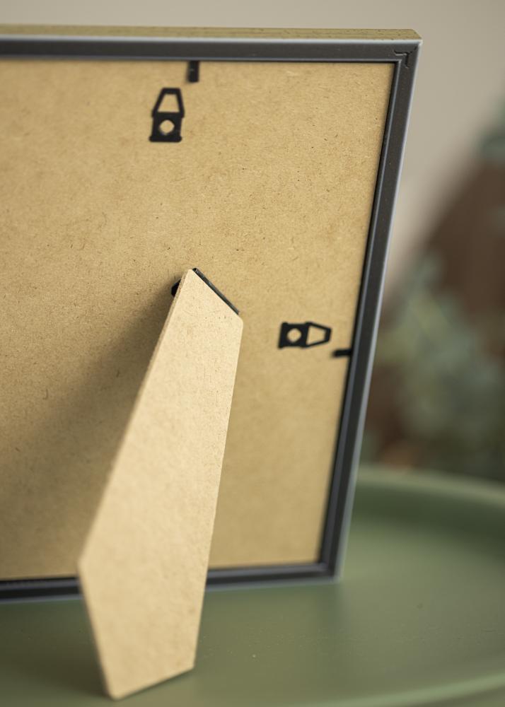 Kehys Classic Hopeanvärinen 10x15 cm