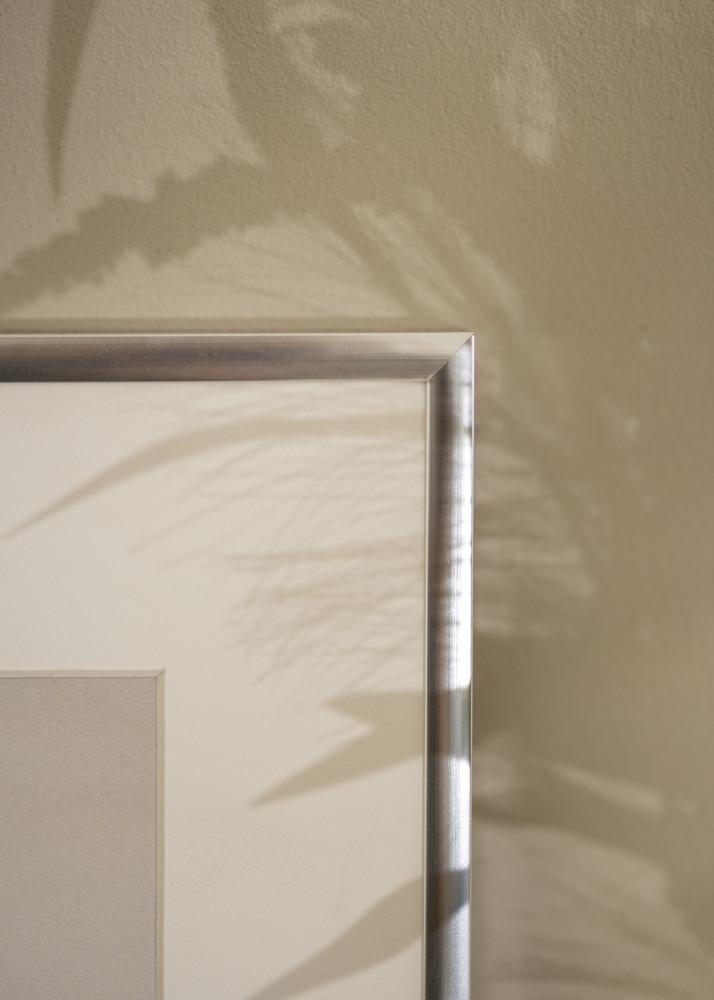 Kehys Poster Frame Aluminum Silver 10x15 cm