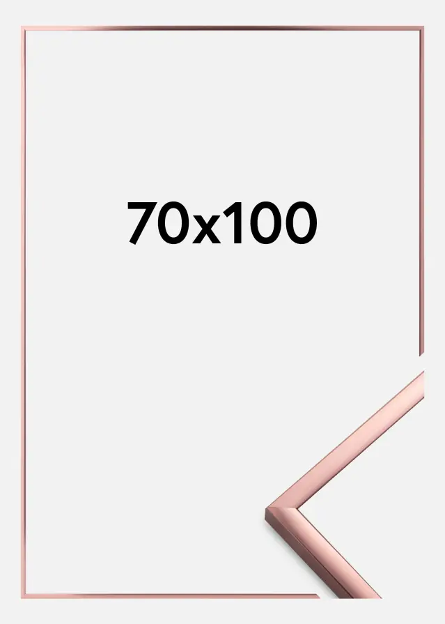 Kehys Poster Frame Aluminum Akryylilasi Ruusukulta 70x100 cm