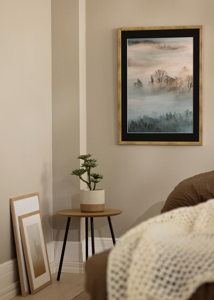 Kehys Stilren Kulta 50x60 cm - Paspatuuri Musta 37x46 cm