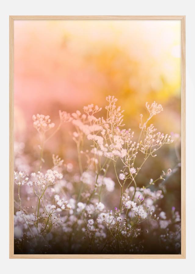 A Beautiful Summer Evening Juliste