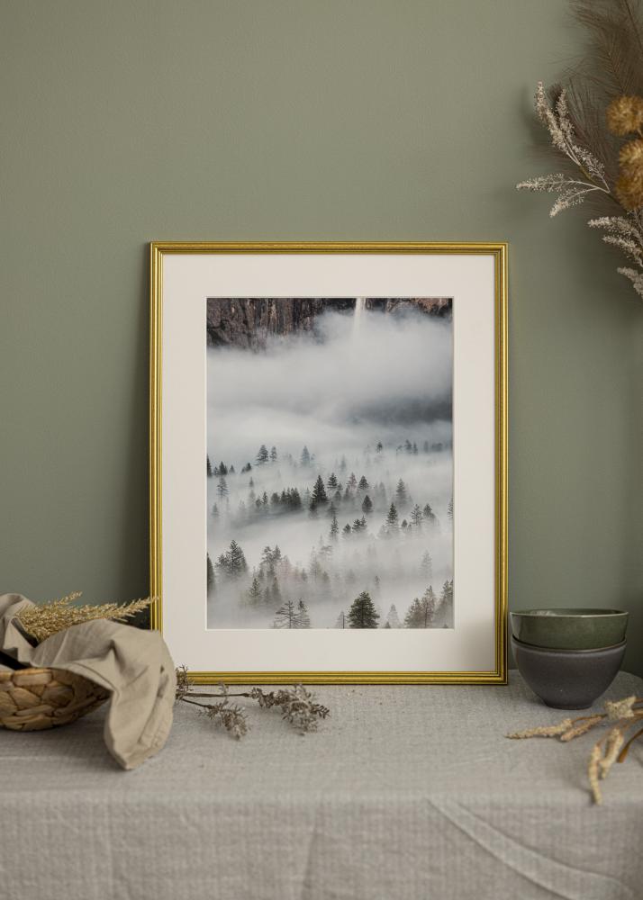 Kehys Classic Kullanvärinen 24x30 cm