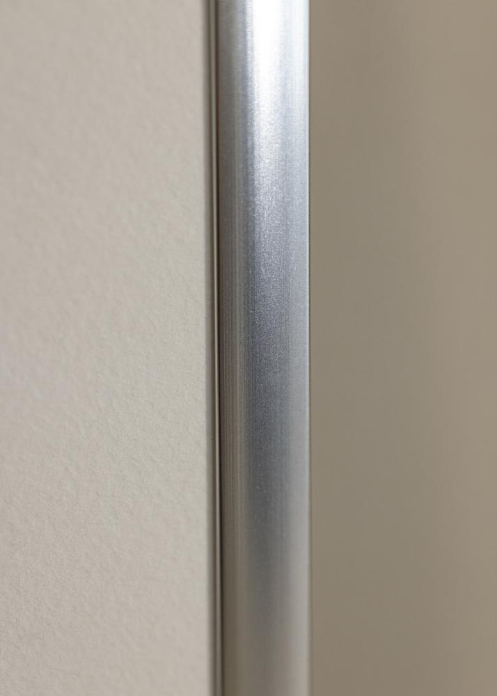 Kehys Poster Frame Aluminum Silver 10x15 cm