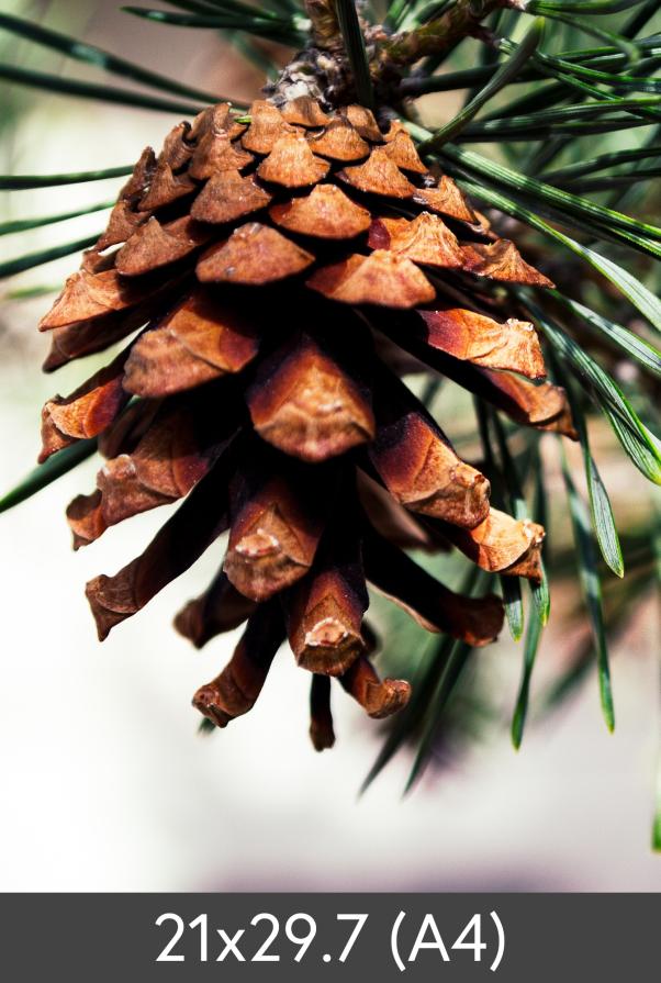 Suurennos FineArt Bamboo 290 g