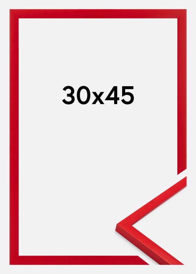 Kehys Kent Akryylilasi Punainen 30x45 cm