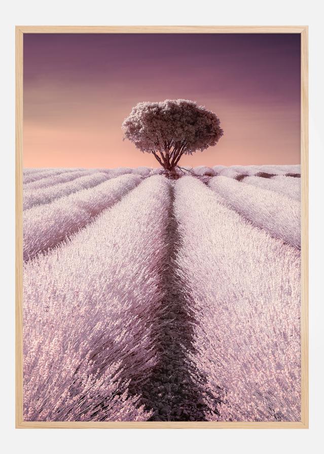 El solitario Juliste