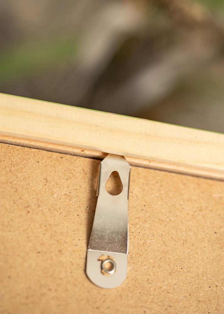 Kehys Diana Akryylilasi Vaaleanvihreä 50x65 cm