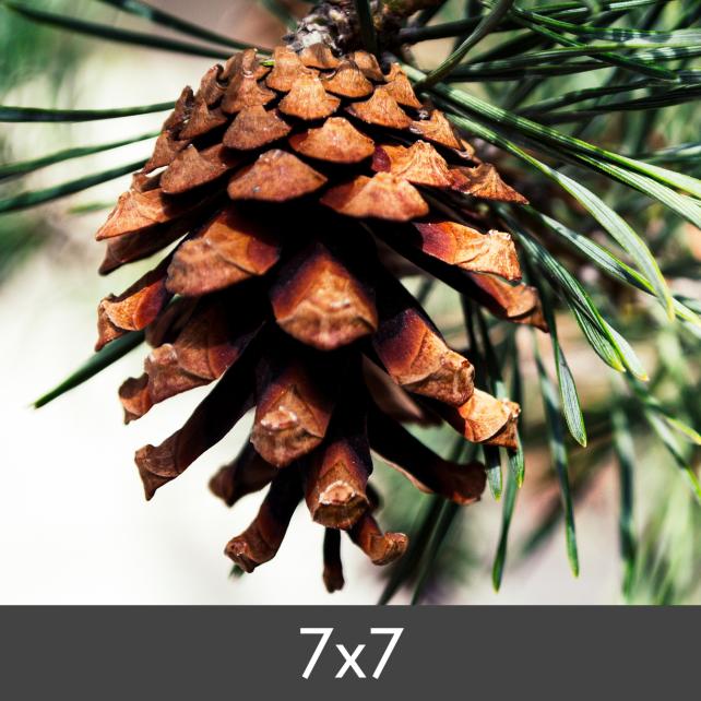 Suurennos FineArt Bamboo 290 g