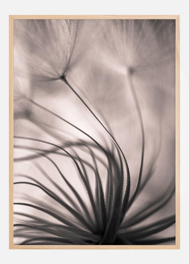 Faded Blurry Flower Juliste