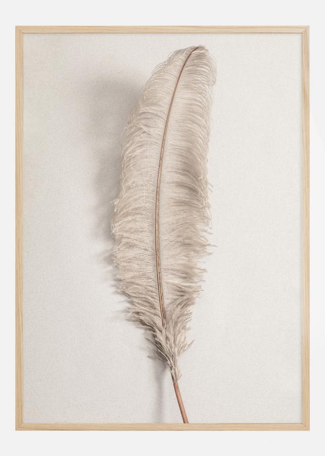 Feather 002 Juliste